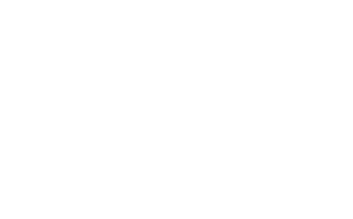 Alglist LLC logo