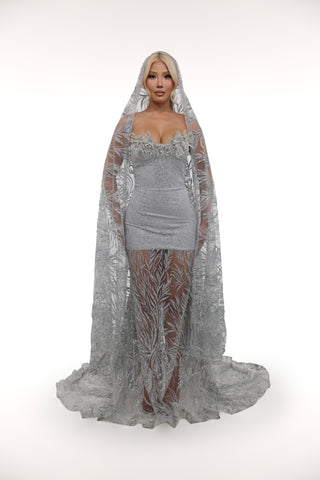 Silver Willow
