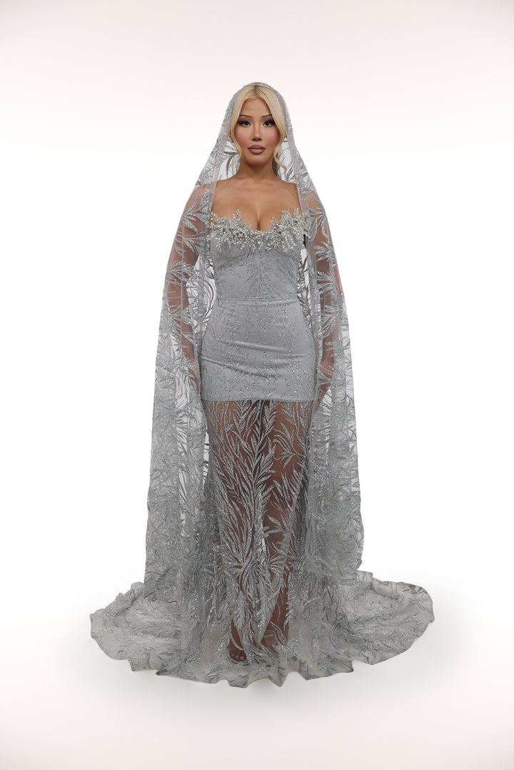 Silver Willow